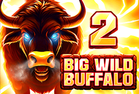 bigwildbuffalo2