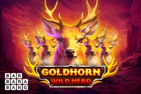 goldhornwildherd