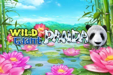 wildgiantpanda